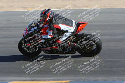 media/Jan-14-2024-SoCal Trackdays (Sun) [[2e55ec21a6]]/Turn 10 Inside (110pm)/